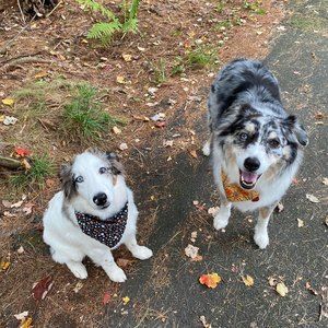 Meet your Posher, Kathryn